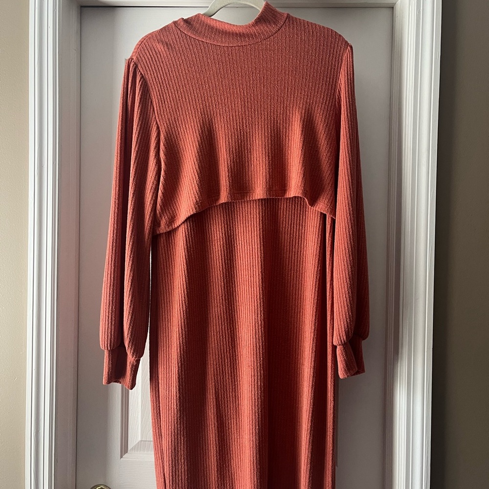 PinkBlush Rust Rib Knit Mock Neck Maternity Nursing Dress